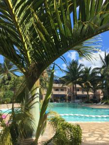 Πισίνα στο ή κοντά στο Apt Terrasse Bord de Mer & piscine / Flic en Flac