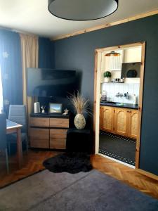 Kuchyňa alebo kuchynka v ubytovaní Apartament IZBA W CENTRUM