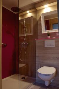 RadeburgにあるFerienwohnungen "Am Mühlteich"のバスルーム(トイレ、ガラス張りのシャワー付)