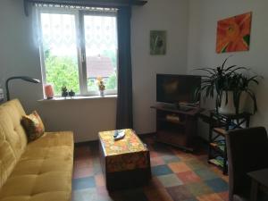 een woonkamer met een bank en een tv bij Ferien in der Scheune in Dammerstorf