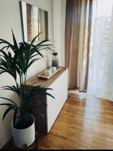 a plant sitting on a table in a room at Giada Apartment in Verona