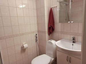 Cosy Loft في هلسنكي: حمام به مرحاض أبيض ومغسلة