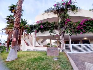 A garden outside Los Gigantes Amazing Sea view WiFi Pool Parking