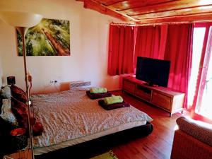 um quarto com uma cama e uma televisão de ecrã plano em Fairytale Wooden house by Ljubljana em Grosuplje