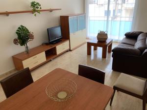 TV a/nebo společenská místnost v ubytování Apartaments Flamingo