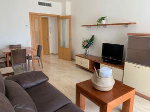 TV a/nebo společenská místnost v ubytování Apartaments Flamingo