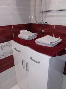 un bagno con lavandino con due asciugamani di Studio La Casa a Soko Banja