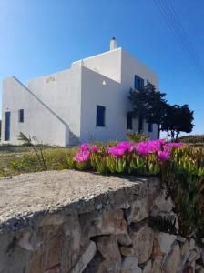 un edificio con fiori rosa su un muro di pietra di Glyfada House a Kastraki