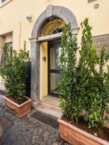una puerta delantera de una casa con dos macetas en numa I Tullo en Roma