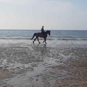 a person riding a horse on the beach at Les gîtes équestre de ninon in Moult