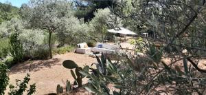 un jardín con sofá y sombrilla en La Villa Jasmin, en Montauroux