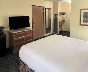 a hotel room with a television and a bed at The Hotel Bemidji in Bemidji