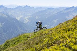 Jazda na bicykli v okolí ubytovania Bodensee-Ferienwohnung Am Ruggbach