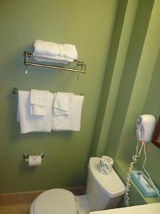 een groene badkamer met een toilet en handdoeken bij TownHouse Extended Stay Hotel Downtown in Lincoln