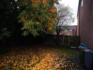 ein Haufen Blätter auf dem Boden unter einem Baum in der Unterkunft Nice Residential Within Easy Reach To Town in Manchester
