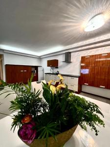 Fotografia z galérie ubytovania Koliba apartments 2 v Bratislave