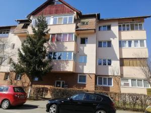 dos coches estacionados frente a un edificio en Studio Acasă en Sibiu