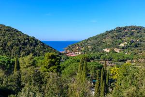 a view of a hill with trees and the ocean at Appartamento La Vacanza in Rio nellʼElba