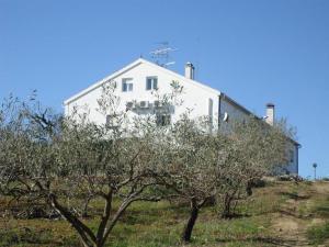 a white house on top of a hill with trees at Monte de Stª Margarida II in Montemor-o-Novo