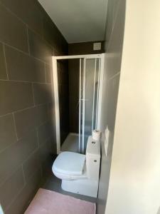 a small bathroom with a toilet and a shower at Maison Lunette in Koksijde