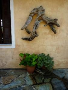 Ściana z kośćmi zwierzęcymi. w obiekcie Studio south Pilion w mieście Chorto