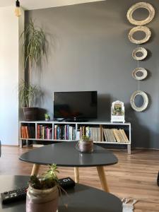TV o dispositivi per l'intrattenimento presso Stan na dan Loznica