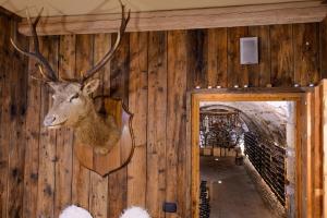 Fotografia z galérie ubytovania Hotel Garni Pegrà v destinácii Ponte di Legno