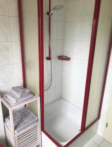 a shower with a glass door in a bathroom at Landhaus Sonneninsel - Appartement in Minheim