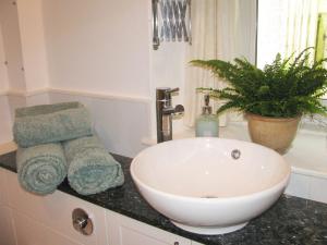 a bathroom with a sink and a plant on a counter at Wintergreen in Pitlochry
