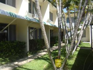 湯斯維爾的住宿－棕櫚水域假日別墅酒店，一群棕榈树在一座建筑前