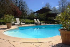 a swimming pool with chairs and an umbrella at Le Logis du Pressoir Self Catering Gites in beautiful 18th Century Estate in the heart of the Loire Valley with heated pool and extensive grounds. in Brion