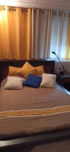a large bed with two pillows on top of it at Les Caraïbes in Peyrehorade