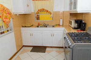Kuhinja oz. manjša kuhinja v nastanitvi Sephina Villa St Lucia Island Dream Holidays