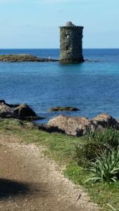 une ancienne tour en pierre dans l'eau près d'une plage dans l'établissement MAISON DANS LE CAP CORSE, à Mandolacce