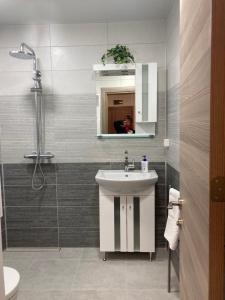 a bathroom with a sink and a shower and a mirror at Victor's Suite , with private parking in Varna City