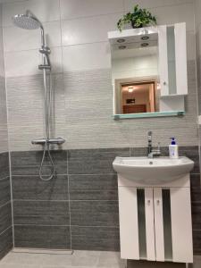 A bathroom at Victor's Suite , with private parking