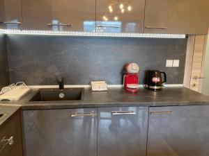 A kitchen or kitchenette at Victor's Suite , with private parking