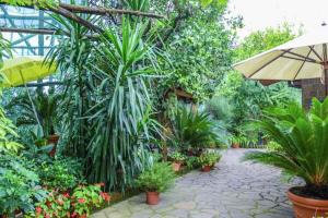 een tuin met veel planten en een paraplu bij Apartment Sorrento 2 in Sorrento