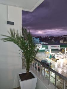 a palm tree sitting on a balcony overlooking a parking lot at Hotel Rey in Huancayo