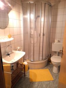 La salle de bains est pourvue d'une douche, d'un lavabo et de toilettes. dans l'établissement Pension Sonnenhof, à Förthen