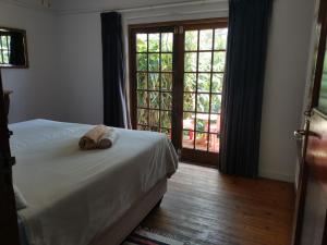 ein Schlafzimmer mit einem Bett und einem großen Fenster in der Unterkunft The Lodge on the Beach in Port St Johns