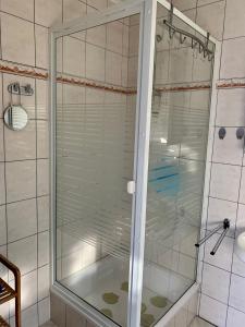 una doccia con porta in vetro in bagno di 1 Raum Appartement mit Küchenzeile in Kappeln a Kappeln
