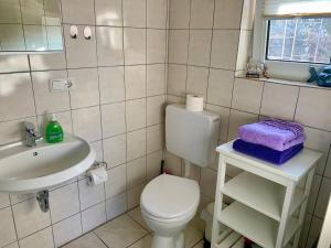 bagno con servizi igienici e lavandino di 1 Raum Appartement mit Küchenzeile in Kappeln a Kappeln