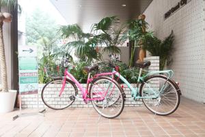רכיבה על אופניים ב-Hotel Grand City או בסביבה