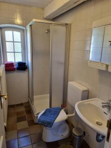y baño con ducha, aseo y lavamanos. en Hackerhof-Suedwohnung en Morsum