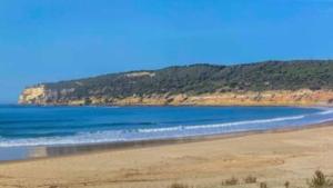 a beach with blue water and a mountain in the background at APARTAMENTO LUZ DEL SOL in Barbate