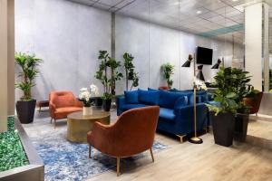 a lobby with a blue couch and chairs at OYO Times Square in New York