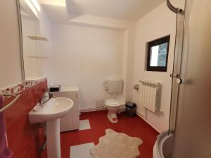 Koupelna v ubytování Casa EMY Busteni + 69 fotografií