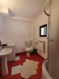 Koupelna v ubytování Casa EMY Busteni