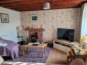 a living room with a television and a fireplace at 3 Knocknaha Cottage in Campbeltown